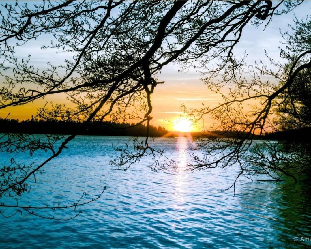 Close To The Metro And The Beach!!! With A View Of The Scandinavian Forest Stockholm Buitenkant foto