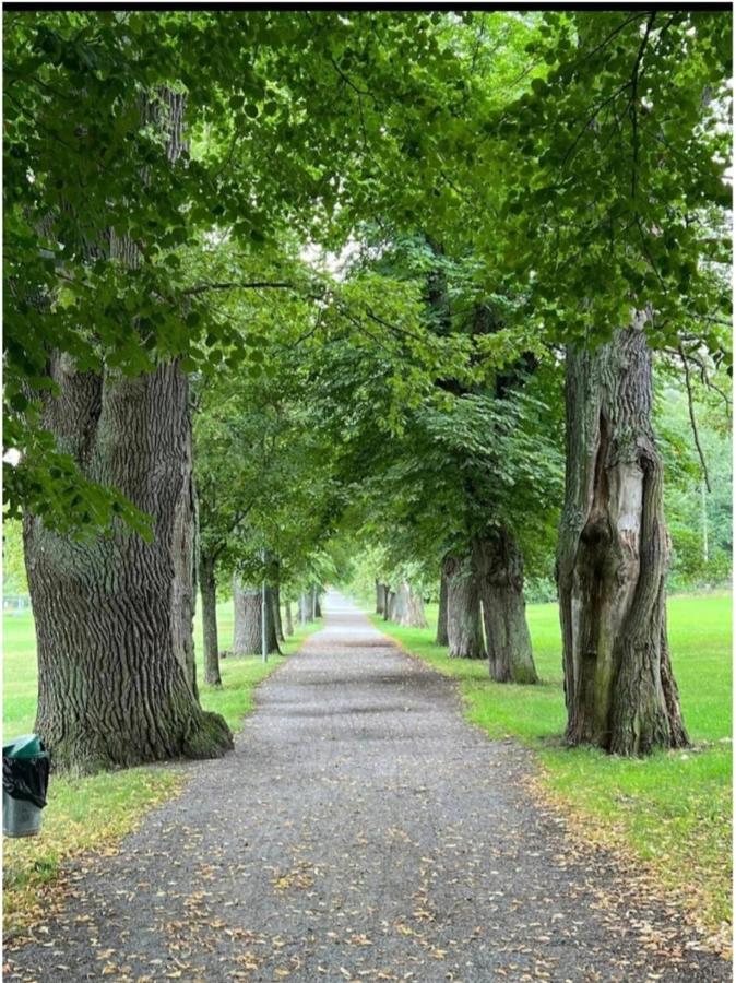 Close To The Metro And The Beach!!! With A View Of The Scandinavian Forest Stockholm Buitenkant foto